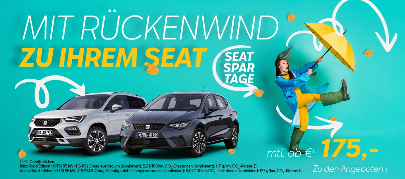 Rückenwind Seat