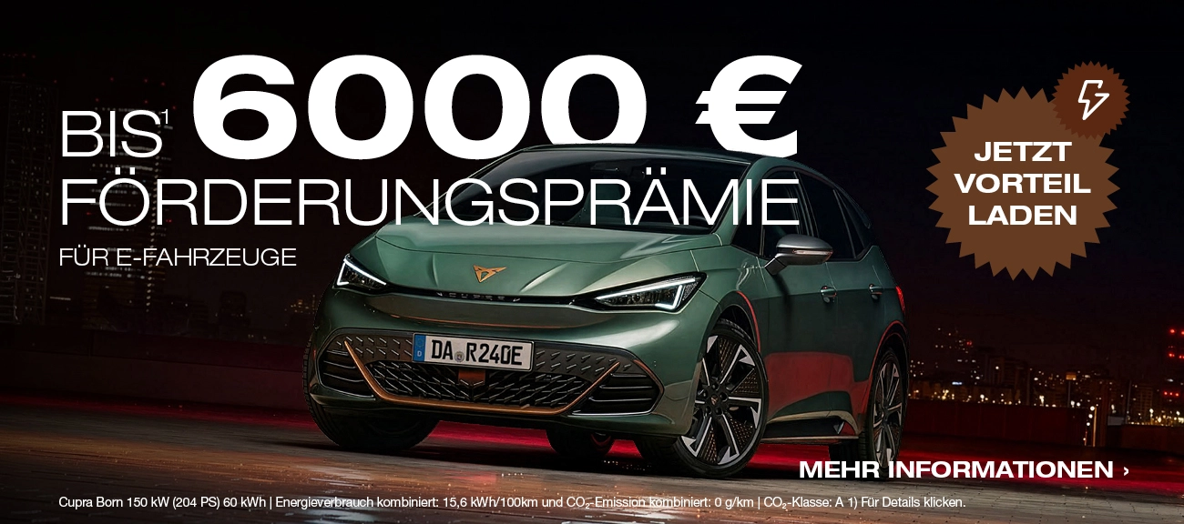 Elektro Förderprämie