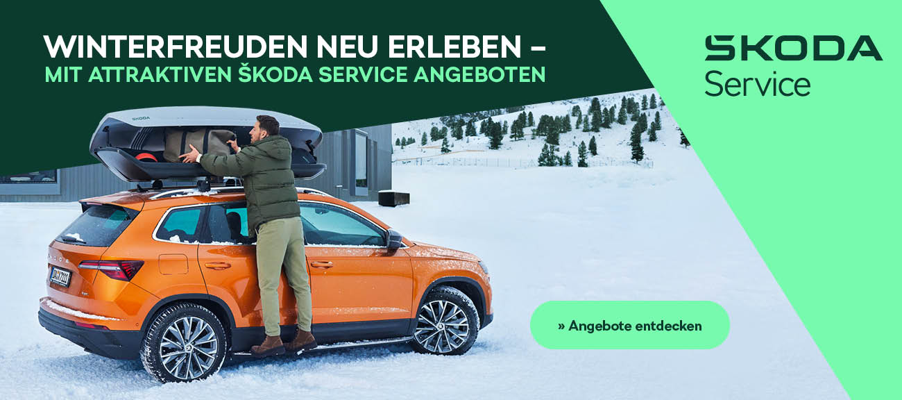 Skoda Winter Service Angebote