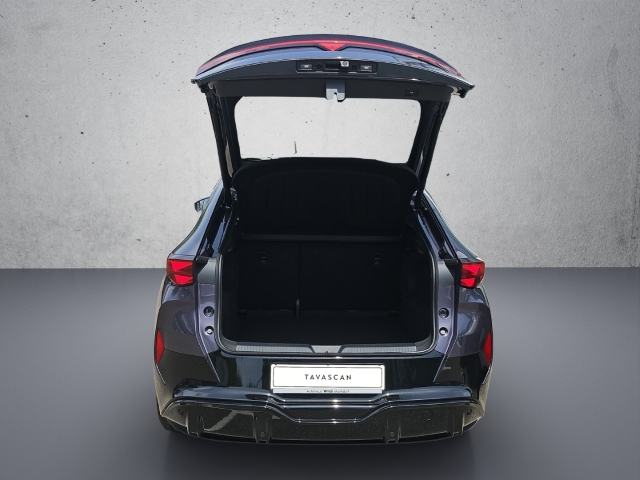 Tavascan 77 kWh*Endurance*Navi*LED*RüKa*SHZ*