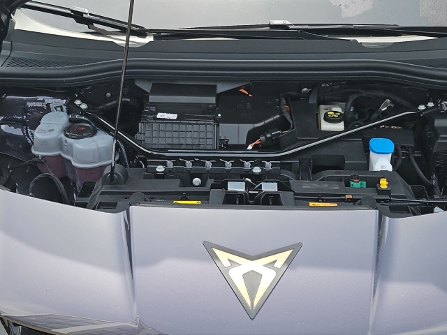 Tavascan 77 kWh*Endurance*Navi*LED*RüKa*SHZ*
