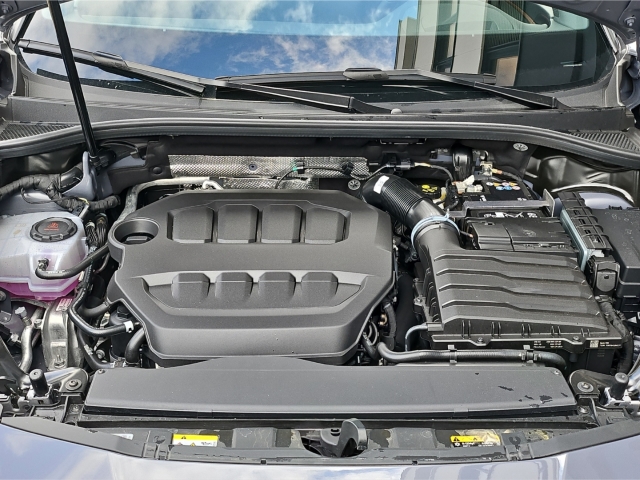 Terramar VZ 2,0 TSI 4M*DSG*LED*Navi*Pano*RüKa*