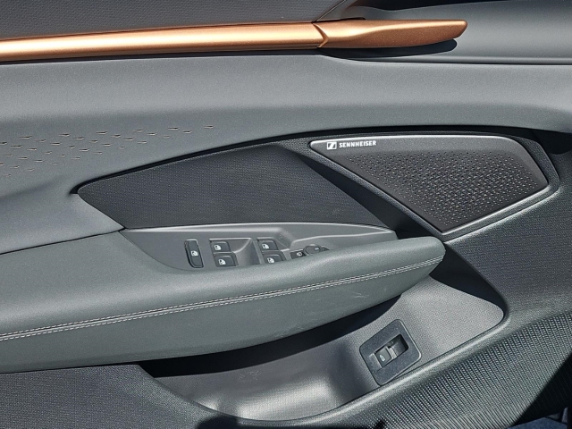 Terramar 2.0 TSI 4M DSG*Navi*LED*RüKa*SHZ*