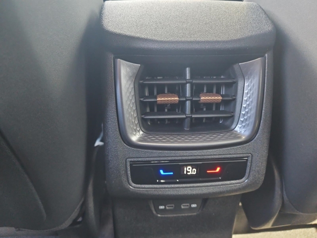 Terramar 2.0 TSI 4M DSG*Navi*LED*RüKa*SHZ*