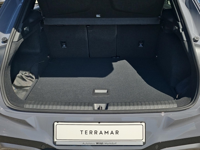 Terramar 2.0 TSI 4M DSG*Navi*LED*RüKa*SHZ*