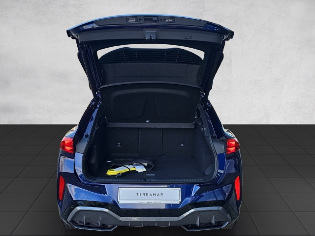 Terramar 1.5 e-Hybrid DSG*LED*NAV*RüKa*ACC*