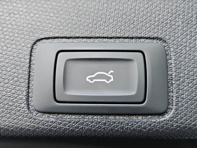 Terramar 1.5 e-Hybrid DSG*LED*NAV*RüKa*ACC*