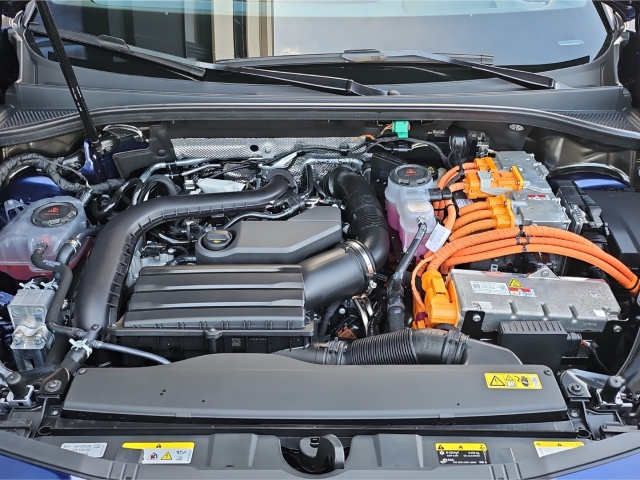 Terramar 1.5 e-Hybrid DSG*LED*NAV*RüKa*ACC*