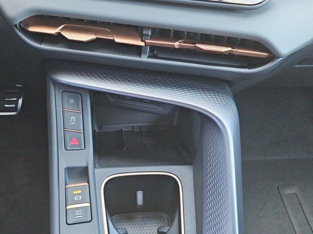 Terramar 1.5 eTSI  DSG*LED*Navi*RüKa*SHZ*