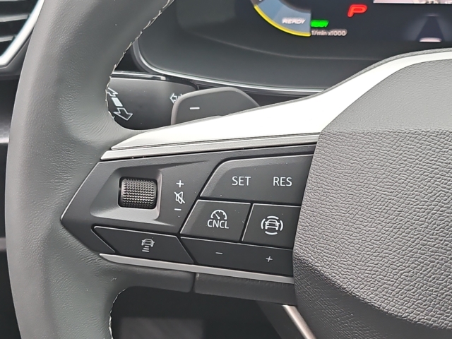 Leon 1.5 eTSI Road Ed. DSG*Navi*LED*ACC*RüKa*