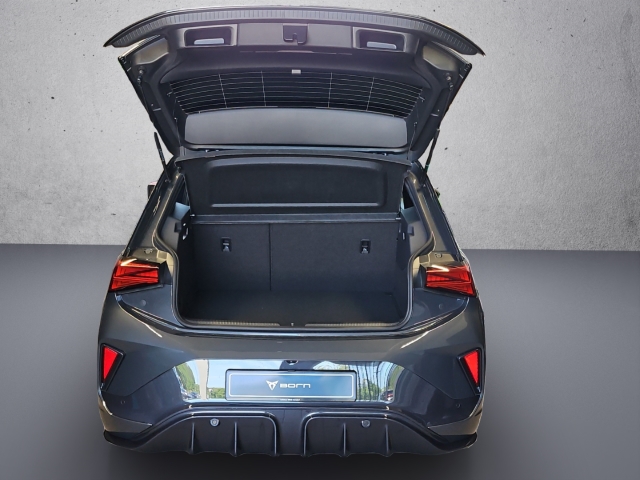 Born 58 kWh*Navi*RüKa* LED*ACC*StandHZG*SHZ