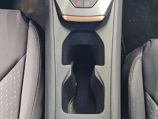 Raval 52 kWh Endurance*Dynamic*Navi*ACC*LED*SHZ*