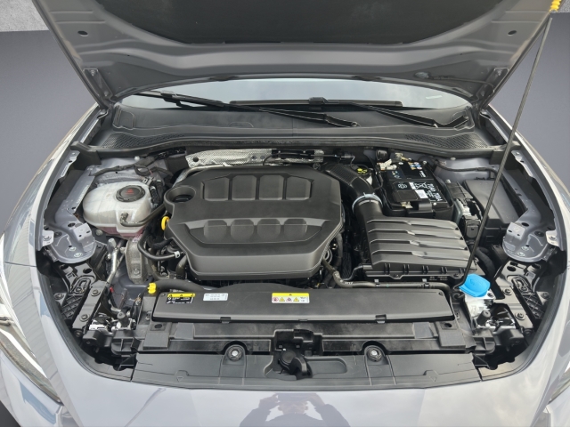 Leon 2.0 TSI VZ*DSG*Navi*LED*RüKa*SHZ*