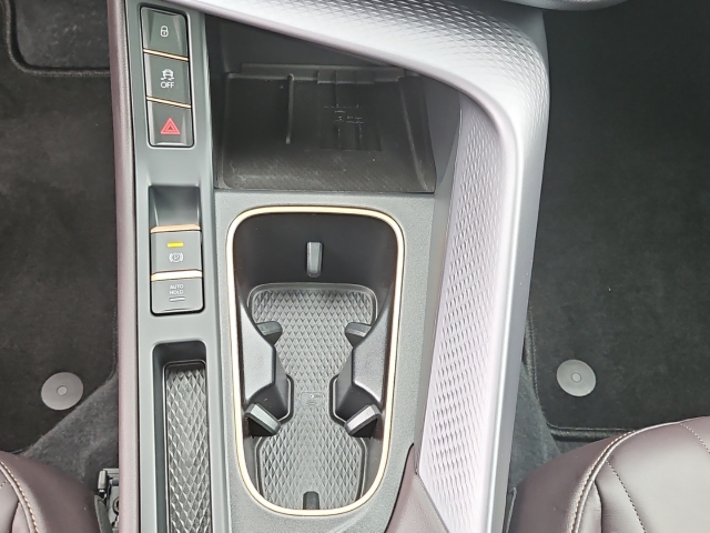 Terramar VZ 1.5 e-Hybrid DSG*Leder*PANO*NAVI*RFK*