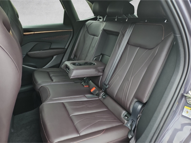 Terramar VZ 1.5 e-Hybrid DSG*Leder*PANO*NAVI*RFK*