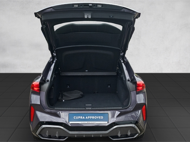Terramar VZ 1.5 e-Hybrid DSG*Leder*PANO*NAVI*RFK*