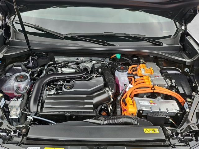 Terramar VZ 1.5 e-Hybrid DSG*Leder*PANO*NAVI*RFK*