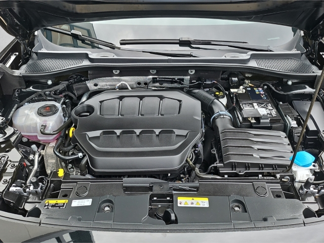 Formentor VZ 2.0 TSI VZ*DSG*Navi*LED*ACC*SHZ*