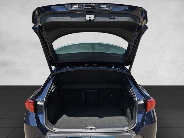 Formentor VZ 2.0 TSI DSG*AHK*Navi*Memory Sitze*