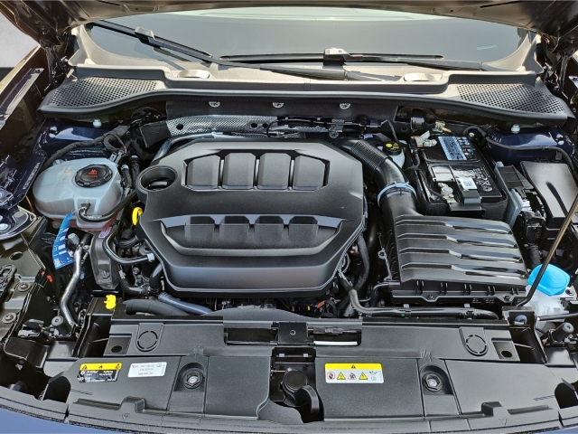 Formentor VZ 2.0 TSI DSG*AHK*Navi*Memory Sitze*