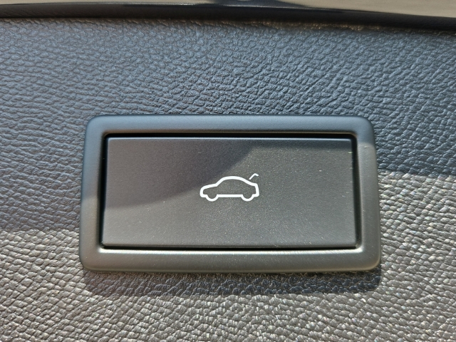Formentor VZ 2.0 TSI DSG*AHK*Navi*Memory Sitze*