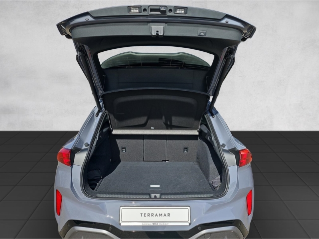 Terramar 1.5 eTSI 110 kW EU6e