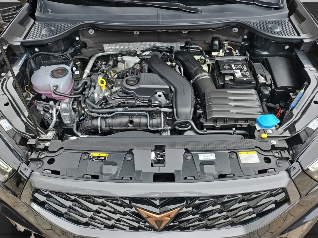 Ateca Tribe Edition 1.5TSI*DSG*Navi*AHK*RüKa*LED