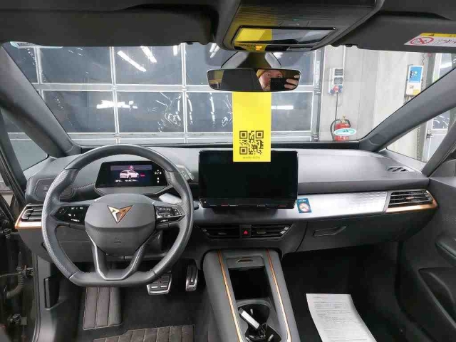 Born 62 kWh*Navi*LED*ACC*RüKa*SHZ*