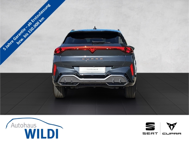 Terramar 1.5 eTSI DSG *Navi*LED*ACC*RüKa*SHZ*