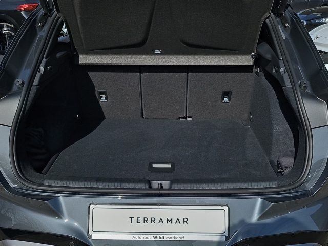Terramar 1.5 eTSI DSG *Navi*LED*ACC*RüKa*SHZ*