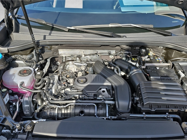 Terramar 1.5 eTSI DSG *Navi*LED*ACC*RüKa*SHZ*