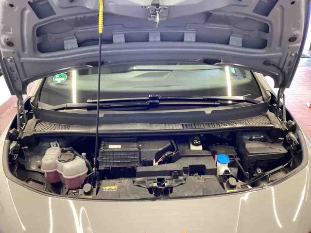 Born electric 62 kWh*Navi*LED*ACC*RüKa*