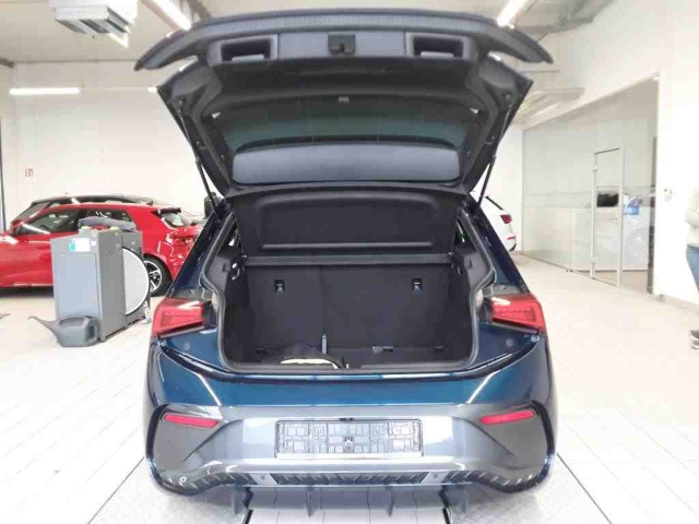 Born electric 62 kWh*Navi*LED*ACC*DAB+*RüKa*