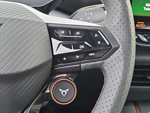 Born 62 kWh Edition*Navi*LED*LED*ACC*Temp*SHZ*