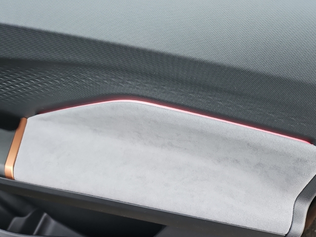 Born 62 kWh Edition*Navi*LED*LED*ACC*Temp*SHZ*