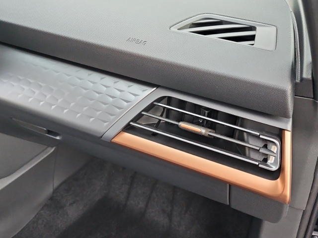 Born 62 kWh Edition*Navi*LED*LED*ACC*Temp*SHZ*