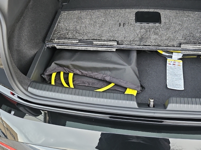 Born 62 kWh Edition*Navi*LED*LED*ACC*Temp*SHZ*