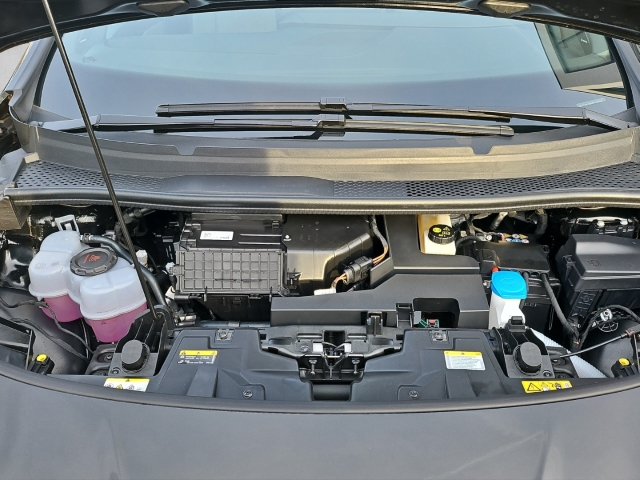 Born 62 kWh Edition*Navi*LED*LED*ACC*Temp*SHZ*