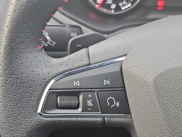 Ibiza Black Edition 1.0 TSI DSG Navi *LED * ACC*