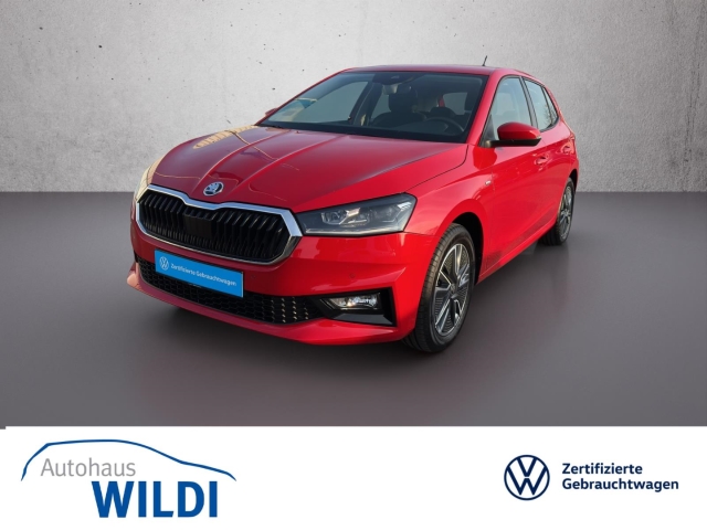 Fabia Tour 1.0 TSI DSG AHK*Leder*LED*