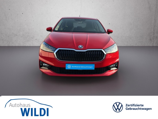 Fabia Tour 1.0 TSI DSG AHK*Leder*LED*