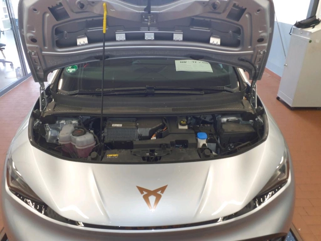 Born 62 kWh *Navi*LED*ACC*RüKa*SHZ*