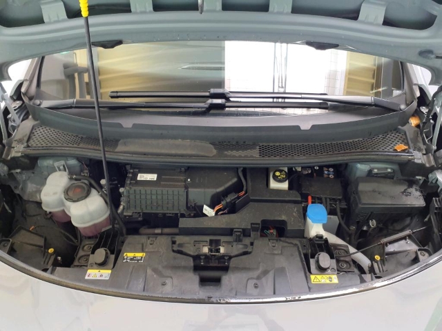 Born 62 kWh*Navi*LED*ACC*RüKa*SHZ*