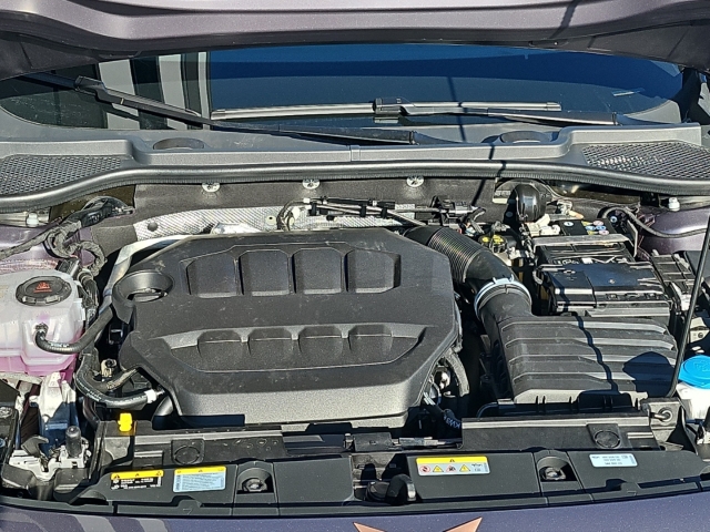 Formentor 2.0 TSI  4D*DSG*Navi*LED*RüKa*ACC*SHZ