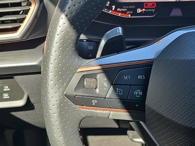 Formentor 1,5 TSI DSG*Navi*LED*RüKa*SHZ*ACC*