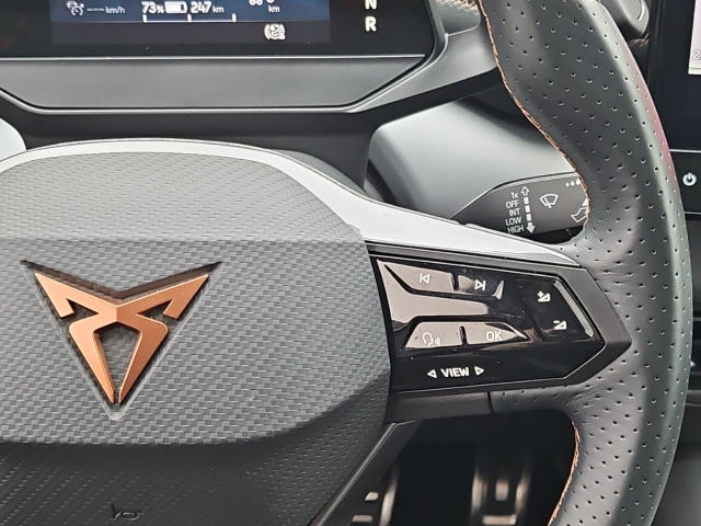 Born 62 kWh*Navi*LED*ACC*SHZ*RüKa*