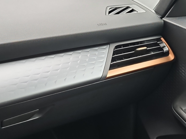 Born 62 kWh*Navi*LED*ACC*SHZ*RüKa*