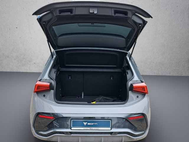 Born 62 kWh*Navi*LED*ACC*SHZ*RüKa*