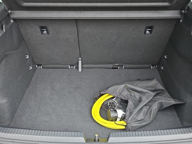 Born 62 kWh*Navi*LED*ACC*SHZ*RüKa*