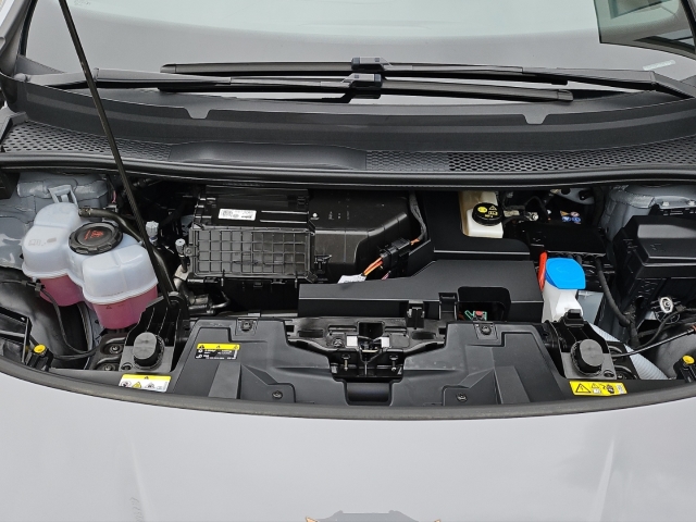 Born 62 kWh*Navi*LED*ACC*SHZ*RüKa*